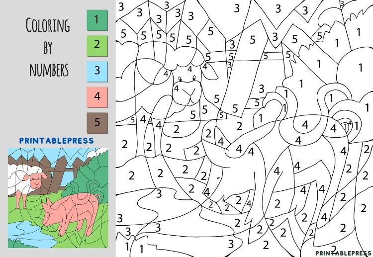 Design of A Sheep and A Pig 