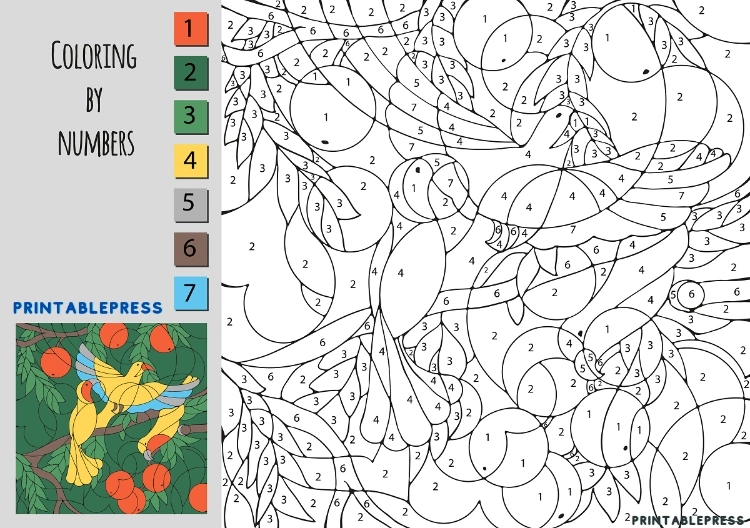 3 Birds Having Fun on an Orange Tree: Coloring by number