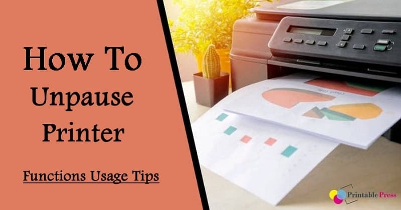 What Are the Functions of a Printer?